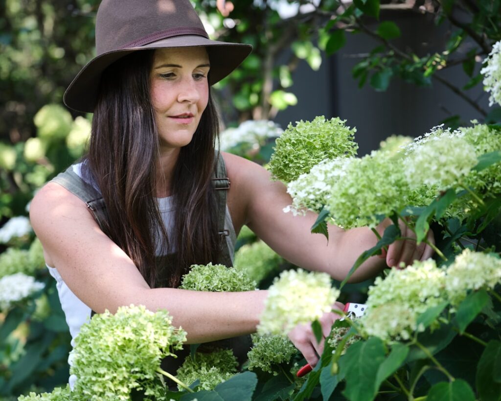 A woman in a wide-brimmed hat uses pruning shears to collect white hydrangea flowers from a garden shrub. The lush greenery and delicate blooms create a serene and tranquil setting, capturing the peacefulness of a summer garden. This image highlights the simple pleasures of gardening and caring for nature.