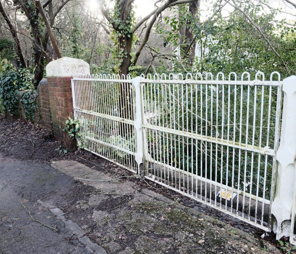 Leibomen bij de erfgrens: wettelijke afstanden en regels