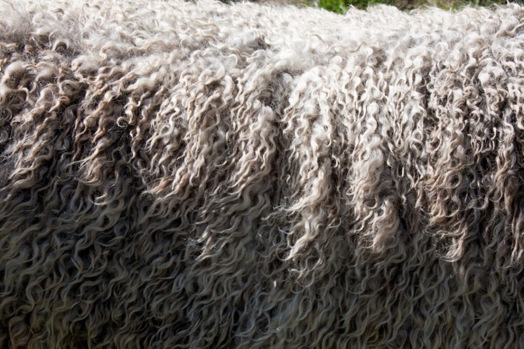 Duurzame Scandinavische bio-economie benut natuurlijke vezels