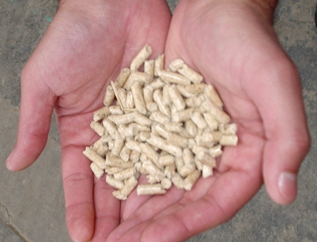 Handvol houtpellets in twee handen