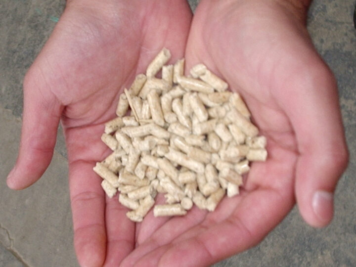 Handvol houtpellets in twee handen